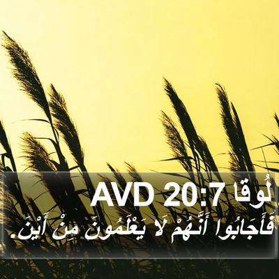 لُوقا 20:7 AVD Bible Verse Image
