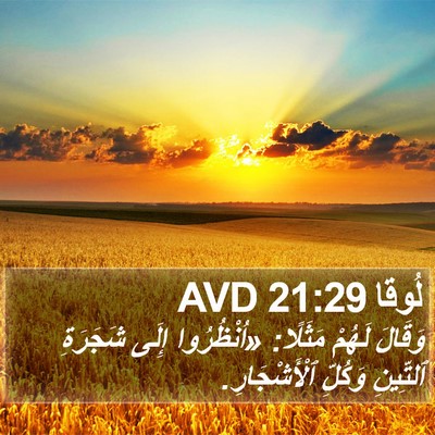 لُوقا 21:29 AVD Bible Verse Image