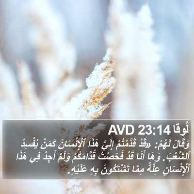 لُوقا 23:14 AVD Bible Verse Image