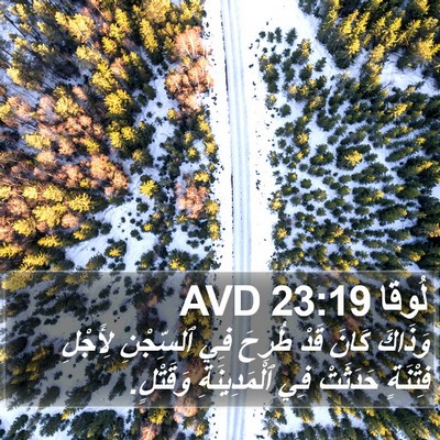 لُوقا 23:19 AVD Bible Verse Image