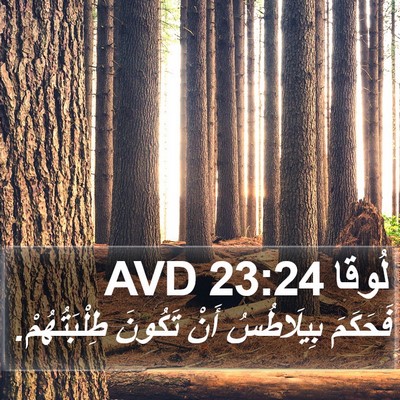 لُوقا 23:24 AVD Bible Verse Image