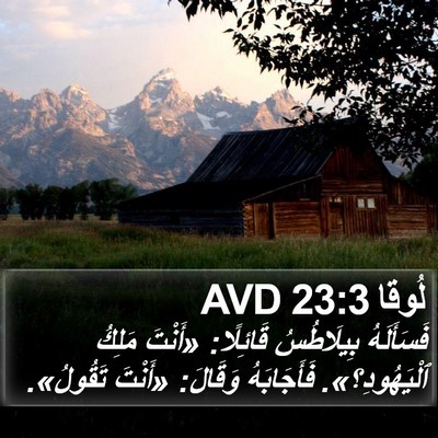 لُوقا 23:3 AVD Bible Verse Image