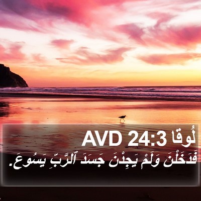 لُوقا 24:3 AVD Bible Verse Image