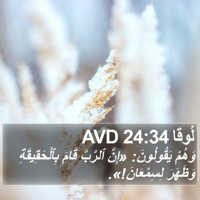 لُوقا 24:34 AVD Bible Verse Image