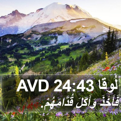 لُوقا 24:43 AVD Bible Verse Image