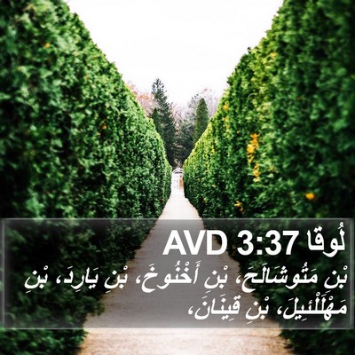 لُوقا 3:37 AVD Bible Verse Image