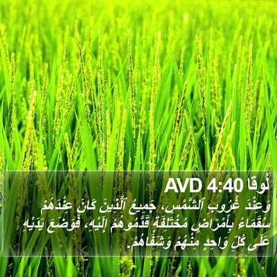 لُوقا 4:40 AVD Bible Verse Image