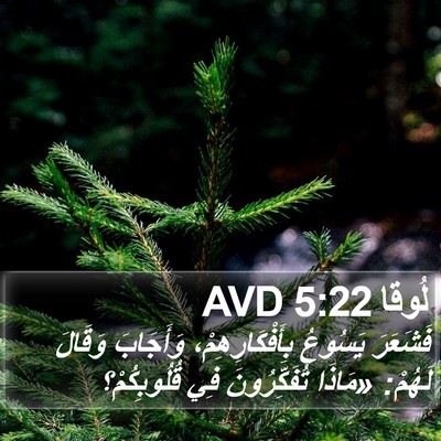 لُوقا 5:22 AVD Bible Verse Image