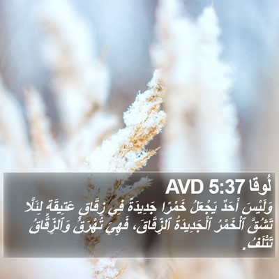 لُوقا 5:37 AVD Bible Verse Image