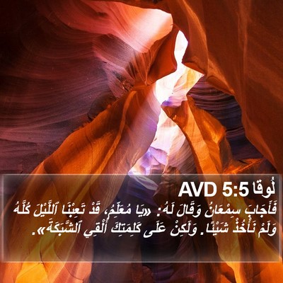 لُوقا 5:5 AVD Bible Verse Image
