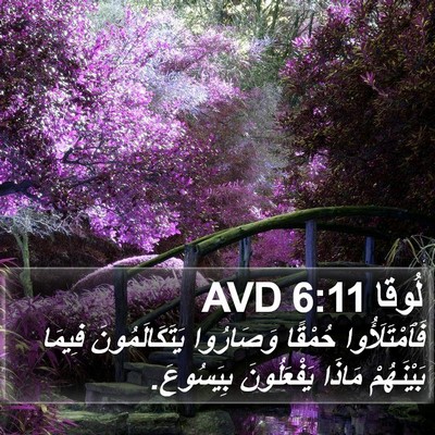 لُوقا 6:11 AVD Bible Verse Image