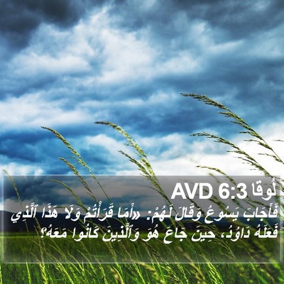 لُوقا 6:3 AVD Bible Verse Image