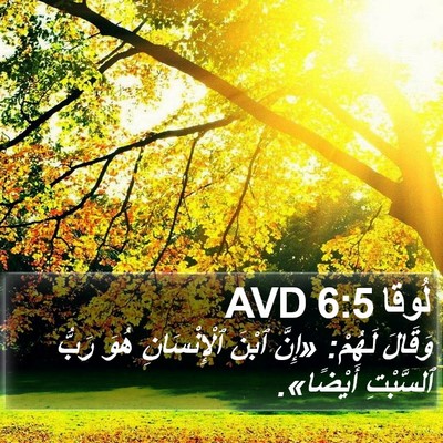 لُوقا 6:5 AVD Bible Verse Image