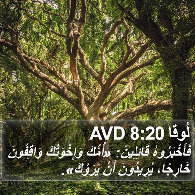 لُوقا 8:20 AVD Bible Verse Image