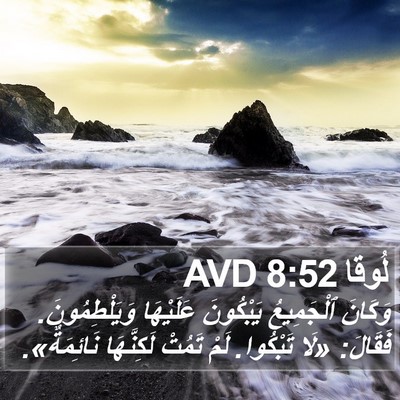 لُوقا 8:52 AVD Bible Verse Image