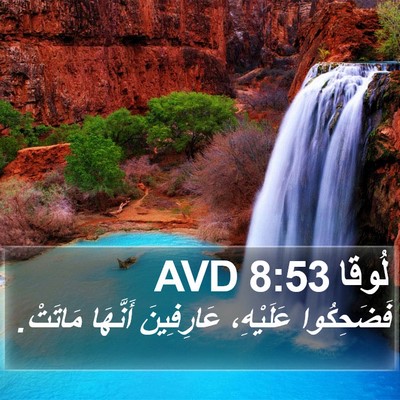 لُوقا 8:53 AVD Bible Verse Image
