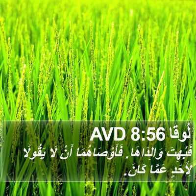 لُوقا 8:56 AVD Bible Verse Image