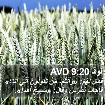 لُوقا 9:20 AVD Bible Verse Image