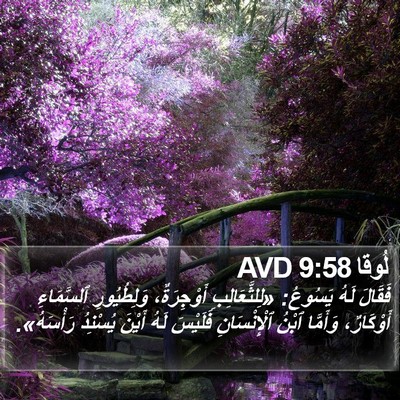 لُوقا 9:58 AVD Bible Verse Image