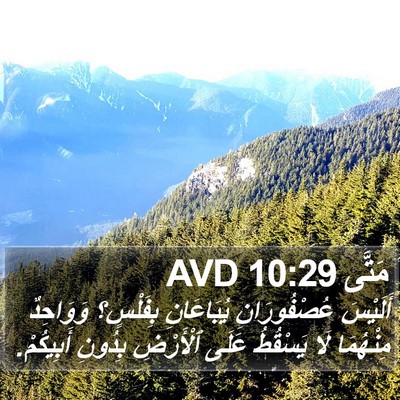 مَتَّى 10:29 AVD Bible Verse Image