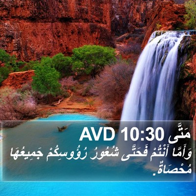 مَتَّى 10:30 AVD Bible Verse Image