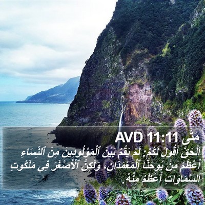 مَتَّى 11:11 AVD Bible Verse Image