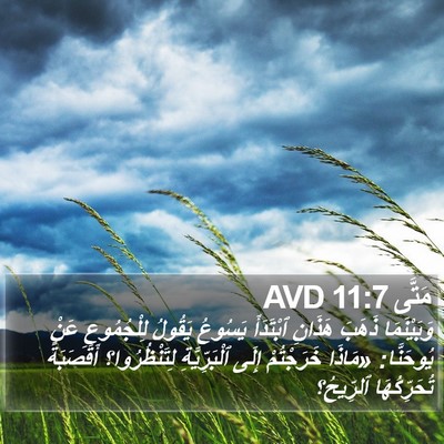 مَتَّى 11:7 AVD Bible Verse Image