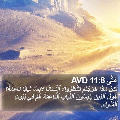 مَتَّى 11:8 AVD Bible Verse Image