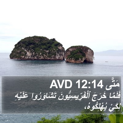 مَتَّى 12:14 AVD Bible Verse Image