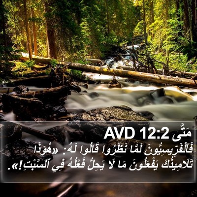 مَتَّى 12:2 AVD Bible Verse Image
