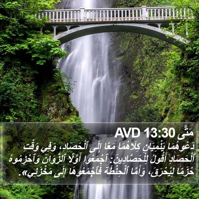 مَتَّى 13:30 AVD Bible Verse Image