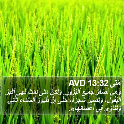 مَتَّى 13:32 AVD Bible Verse Image