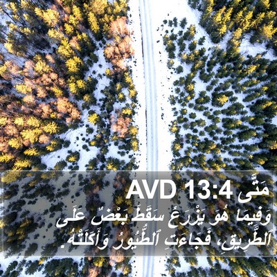 مَتَّى 13:4 AVD Bible Verse Image