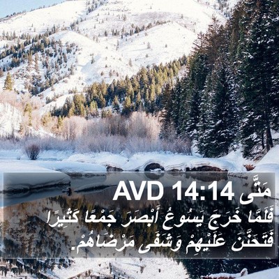 مَتَّى 14:14 AVD Bible Verse Image