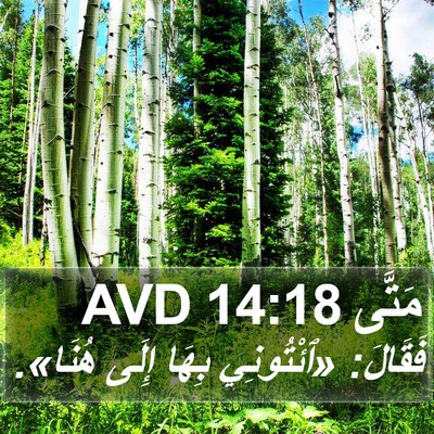 مَتَّى 14:18 AVD Bible Verse Image