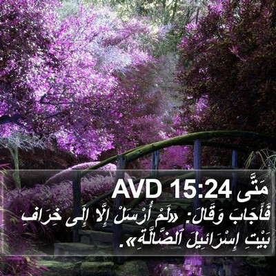 مَتَّى 15:24 AVD Bible Verse Image