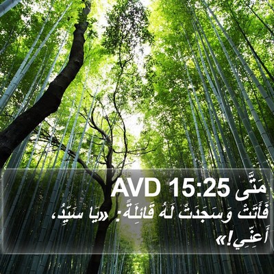 مَتَّى 15:25 AVD Bible Verse Image