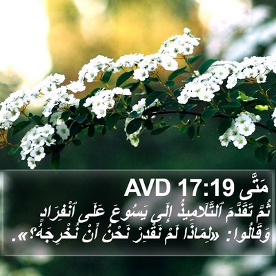 مَتَّى 17:19 AVD Bible Verse Image