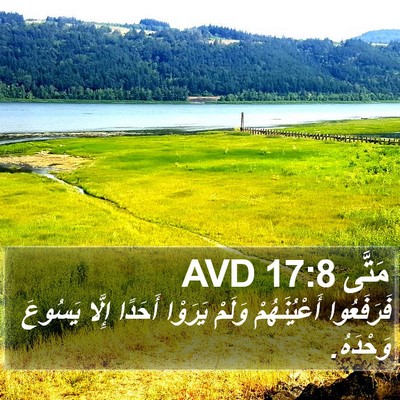مَتَّى 17:8 AVD Bible Verse Image