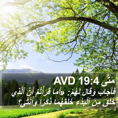 مَتَّى 19:4 AVD Bible Verse Image