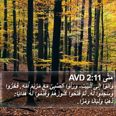 مَتَّى 2:11 AVD Bible Verse Image