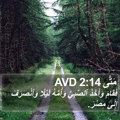 مَتَّى 2:14 AVD Bible Verse Image