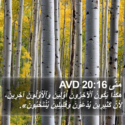 مَتَّى 20:16 AVD Bible Verse Image