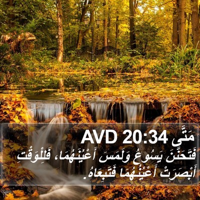 مَتَّى 20:34 AVD Bible Verse Image