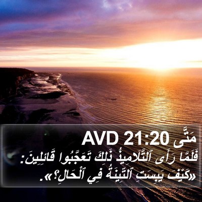 مَتَّى 21:20 AVD Bible Verse Image
