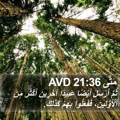 مَتَّى 21:36 AVD Bible Verse Image