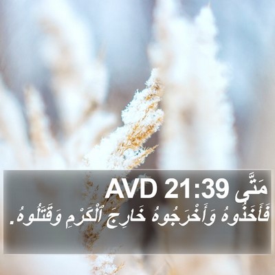 مَتَّى 21:39 AVD Bible Verse Image