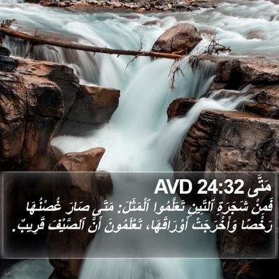 مَتَّى 24:32 AVD Bible Verse Image
