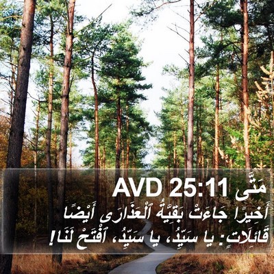 مَتَّى 25:11 AVD Bible Verse Image
