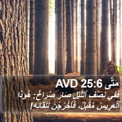 مَتَّى 25:6 AVD Bible Verse Image